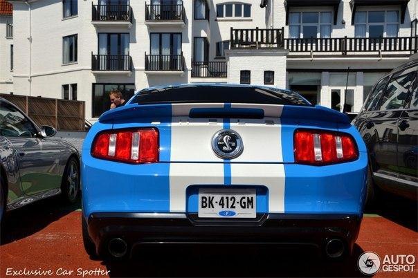Shelby GT500, 2011. - 3
