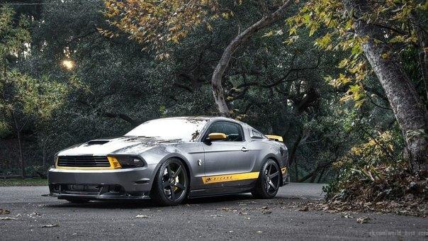  Mustang :) - 8