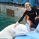  , -, 49  -  16  2014    