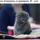 ���� ]{() � � -�]{ @, ������-��-���� - ��������� 1 ������ 2014 � ������ ������ ��������