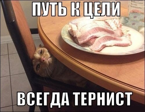    :D - 5  2014  03:41