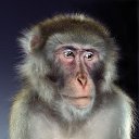 ���� ����� �������, ���� - ��������� 2 ������ 2014 � ������ ���� ����������