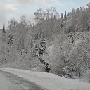  , , 57  -  8  2014       2014