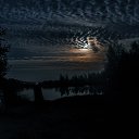  , , 75  -  8  2014    .  