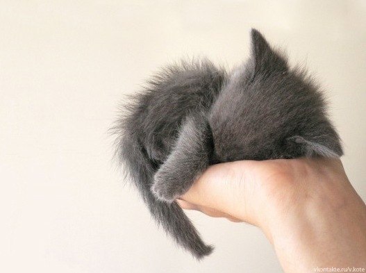 Доброта – она не увядает.И не ждёт взаимности в ответ…Никогда не жжёт, а согревает,Оставляя в душах ...