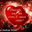 ���� �����, ����������, 48 ��� - ��������� 2 ������� 2014 � ������ ������ ��������