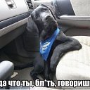 ���� �����, ������, 41 ��� - ��������� 14 �������� 2014