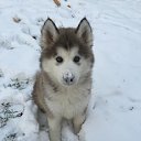 ���� �����&copy;, ������, 48 ��� - ��������� 3 ������� 2014 � ������ ������ ��������