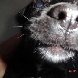 ������� �����, ������, 50 ���