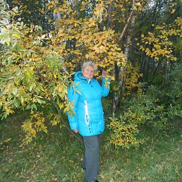 ������, ����������, 76 ���