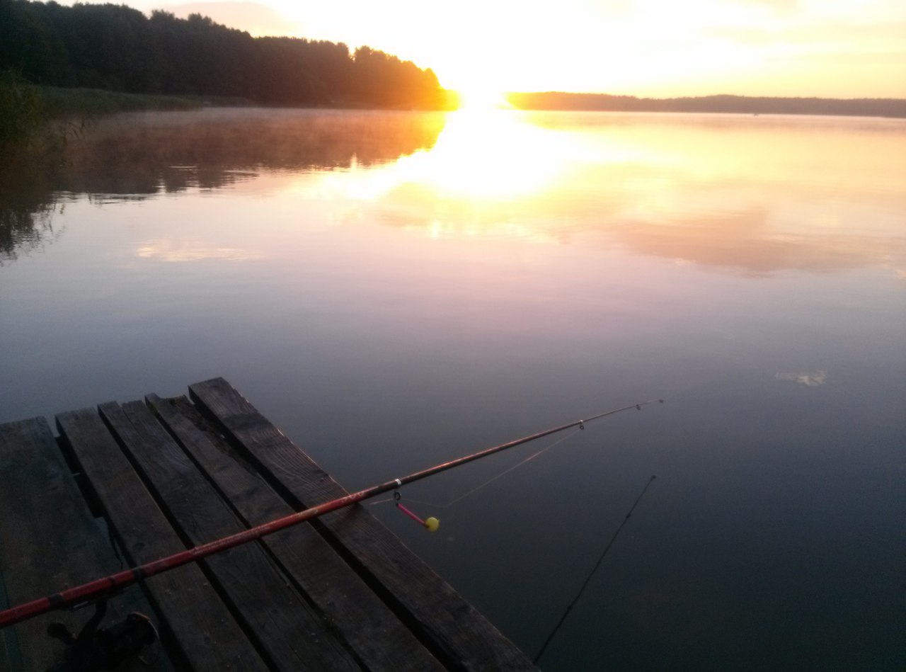 ����� ������� - 16 ������ 2014 � 16:34 - 3