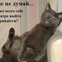 ���� �������, ������, 57 ��� - ��������� 3 ������� 2014 � ������ ������ ��������