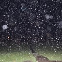 ���� ������, ����������� - ��������� 1 ������� 2014 � ������ ������ ������ 2014 ���� ����� �������