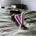  _--_,  -  22  2014   Webcam Toy