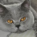 ���� �����, ���������, 62 ���� - ��������� 14 ������ 2014 � ������ ���������