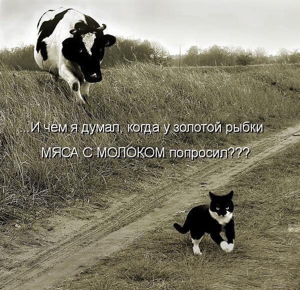    - 30  2014  17:10