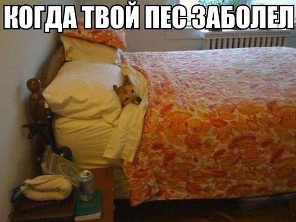   ,    )