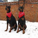 ���� �����, �����������, 28 ��� - ��������� 10 ������� 2014 � ������ ������ ��������