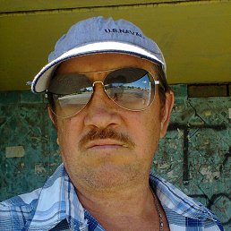 ������, �������, 66 ���