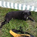 ���� �������� ��������, ������� - ��������� 23 ������� 2014 � ������ �������