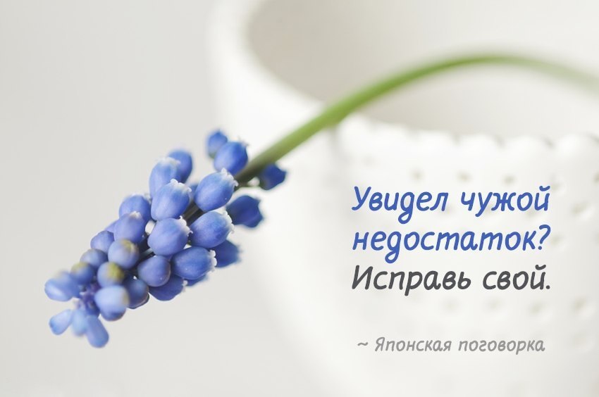   - 1  2014  17:26