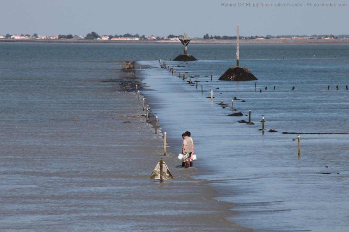  ,    .   (Passage du Gois)     ... - 9