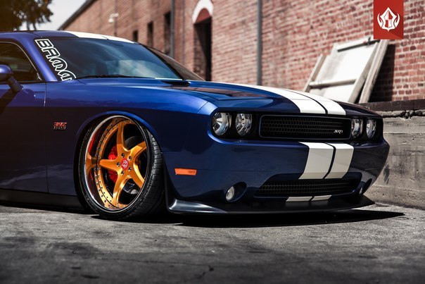 Dodge Challenger 392 HEMI on Vip Modular Wheels - 9