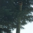 ���� �����, �����������, 61 ��� - ��������� 27 ������� 2014 � ������ ������������ 2014�