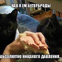 ���� ����, �����-��������� - ��������� 22 ������ 2014 � ������ ������ ��������
