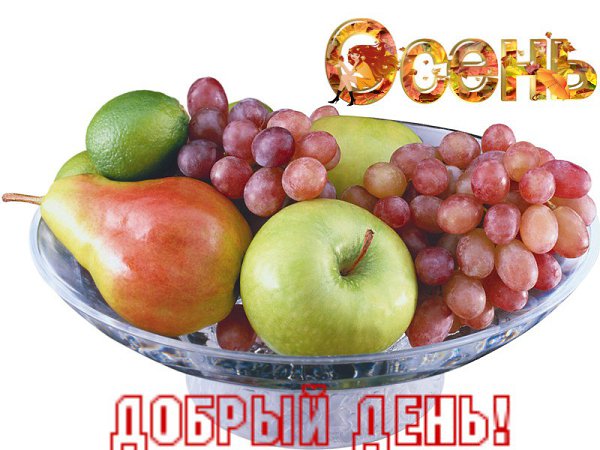 Удивляешься, как быстро проходит день. А потом понимаешь, что это был не день, а жизнь.