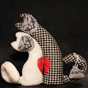 ���� ��������, ���� - ��������� 3 ������� 2014 � ������ ������� ������� �� �����