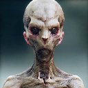 ���� ������, ������ ��������, 49 ��� - ��������� 6 ������� 2014 � ������ ���� ����������