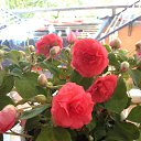 ���� �������, ��������� - ��������� 14 �������� 2014 � ������ ���� ����������