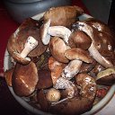 ���� ���, �������, 64 ���� - ��������� 13 �������� 2014 � ������ ��� �������