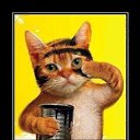 ���� ���, ������ - ��������� 25 �������� 2014 � ������ ���� ����������