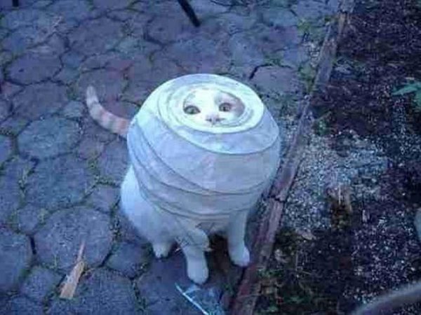   :3