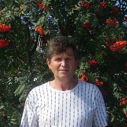 ��������, ���������