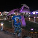 HOLLYWOOD    SHARM EL SHEIKH    