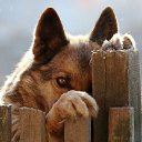 ���� �������)), ������� ������, 50 ��� - ��������� 25 ������ 2014 � ������ ������ ��������