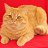 ���� Sunrisecat, ����, 56 ��� - ��������� 11 ������� 2014