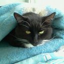  Elenka))) 220,  -  7  2014    -  .