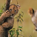 ���� �����, ��������� - ��������� 26 ������� 2014 � ������ ������ ��������