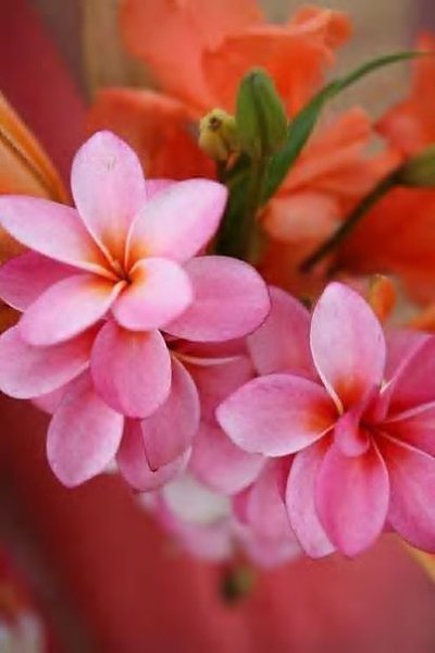    ,   ,   .        ... - 6