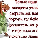 ���� ��������, ������ - ��������� 11 ������� 2014