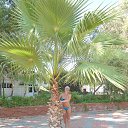 ���� ������, ��������, 49 ��� - ��������� 16 ������� 2014 � ������ ���� ����������