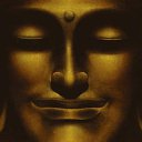 ���� ������, ���������, 47 ��� - ��������� 14 ������� 2014 � ������ ���� ����������