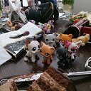 ���� �����, �����-��������� - ��������� 19 ������� 2014 � ������ ���� ����������