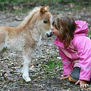 ��� ������� �� ������� �������