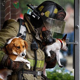 ���� Alex, ���� - ��������� 27 ������� 2014