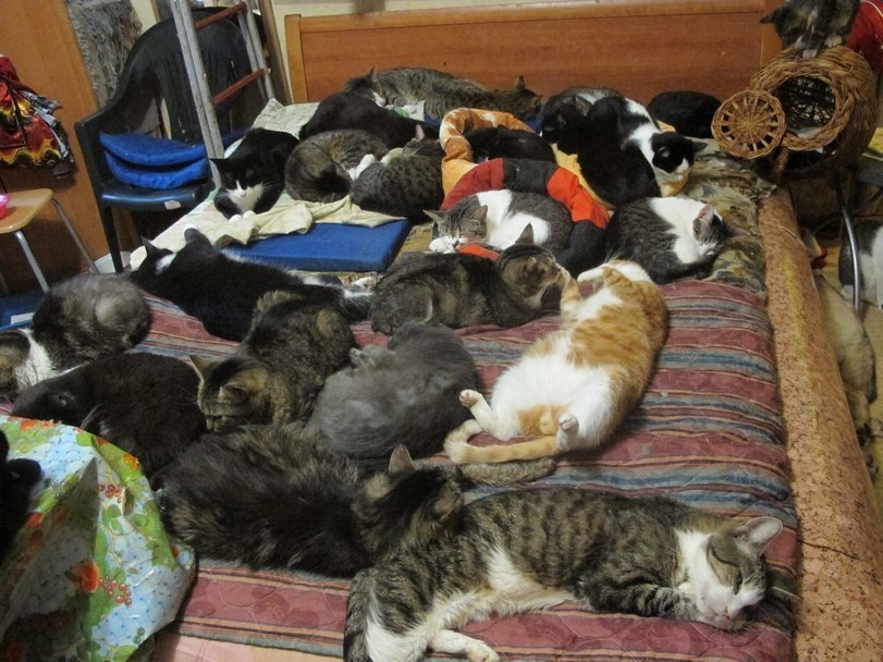  ,  40- 